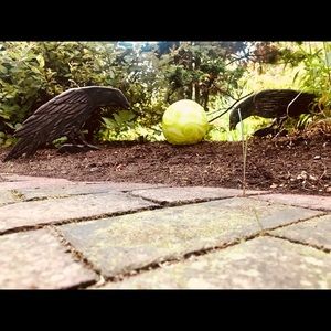 Meet your Posher, Anne